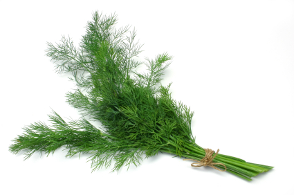 dill