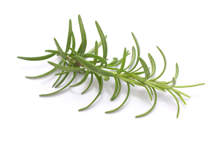 rosemary