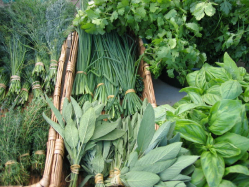 bunches of fresh herbs