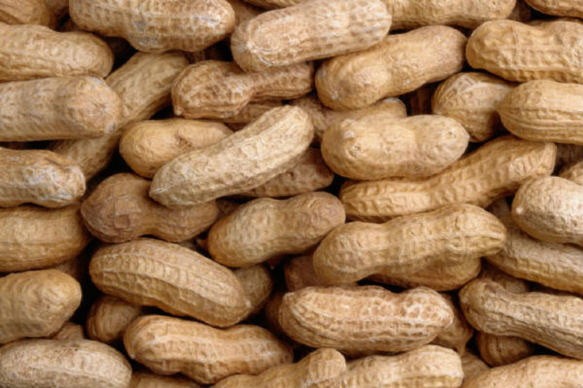 peanuts in shell