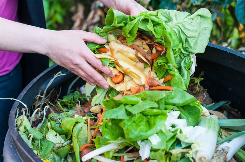 food waste, compost